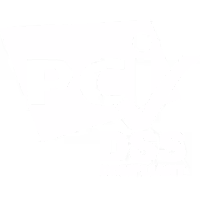 PCI DSS compliance logo with text.
